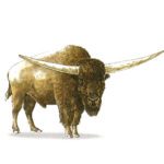 illustration of Long Horned Bison
