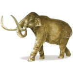 Illustration of Columbian Mammoth